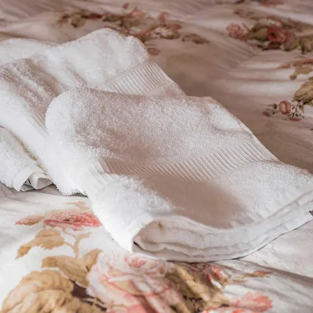 Dama Del Bed and Breakfast Ponte nellʼAlpi