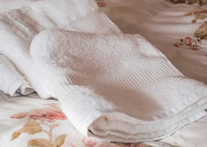 Dama Del Bed & Breakfast Ponte nellʼAlpi